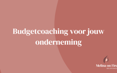 Budgetcoaching voor jouw onderneming