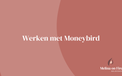 Werken met Moneybird