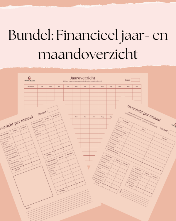 Bundel: Financieel overzicht: jaaroverzicht + maandoverzicht