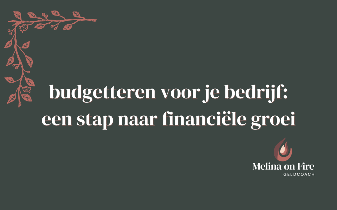 Budgetteren voor je bedrijf: een stap naar financiële groei