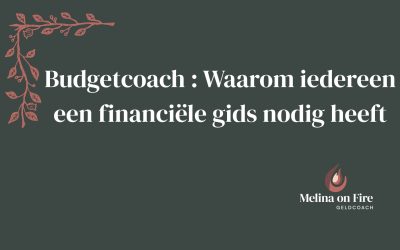 Budgetcoach : Waarom iedereen een financiële gids nodig heeft