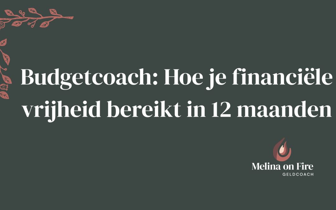 Budgetcoach: Hoe je financiële vrijheid bereikt in 12 maanden
