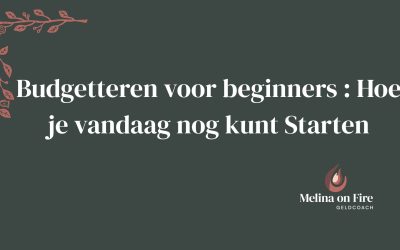 Budgetteren voor beginners : Hoe je vandaag nog kunt Starten