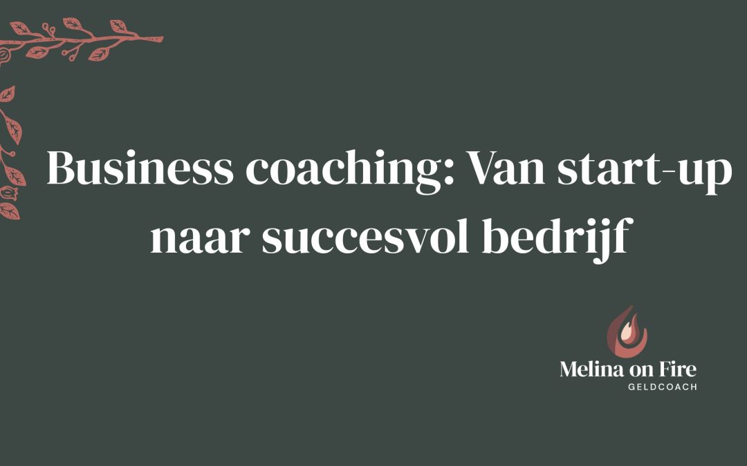Business coaching : Van start-up naar succesvol bedrijf