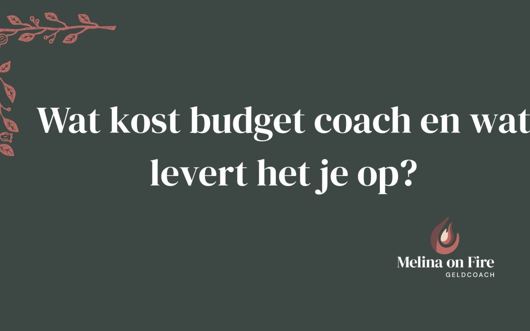Wat kost budget coach en wat levert het je op?