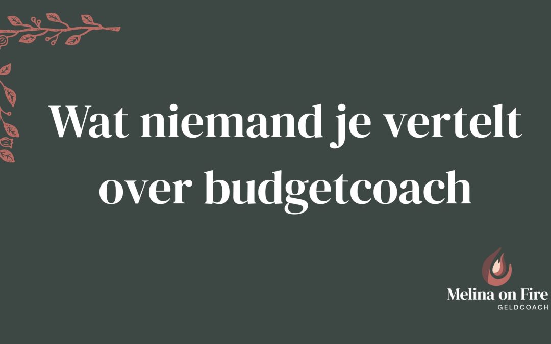 Wat niemand je vertelt over budgetcoach