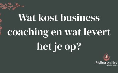 Wat kost business coaching en wat levert het je op?