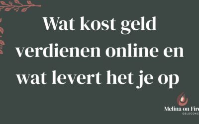 Wat kost geld verdienen online en wat levert het je op