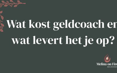 Wat kost geldcoach en wat levert het je op?
