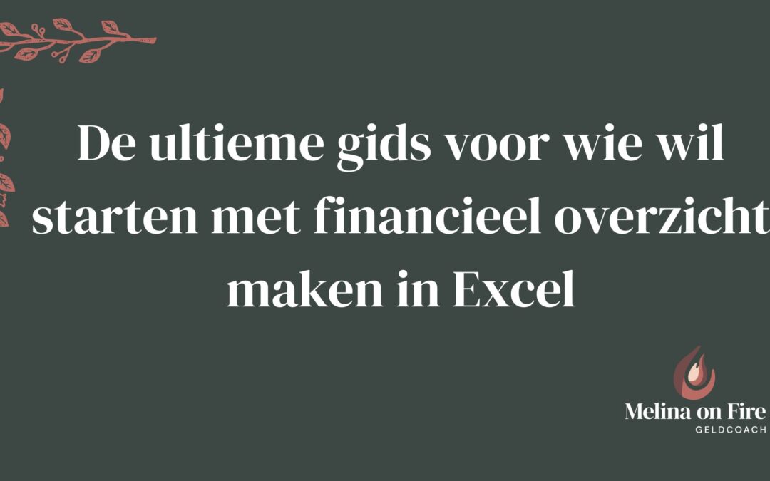Digitale infographic in het Nederlands met een stap-voor-stap gids voor het maken van een financieel overzicht in Excel, met een jonge man die werkt aan zijn laptop
