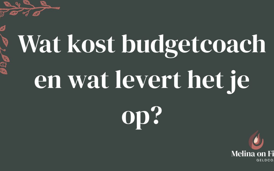 Wat kost budgetcoach en wat levert het je op?