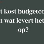 Illustratie met tekst over budgetcoach, gericht op financiële begeleiding en advies