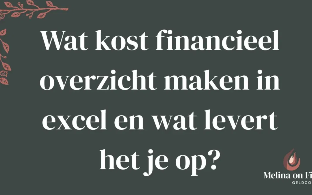 Wat kost financieel overzicht maken in excel en wat levert het je op?