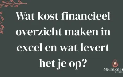 Wat kost financieel overzicht maken in excel en wat levert het je op?