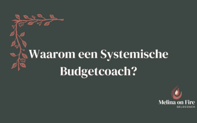 Waarom een Systemische Budgetcoach?