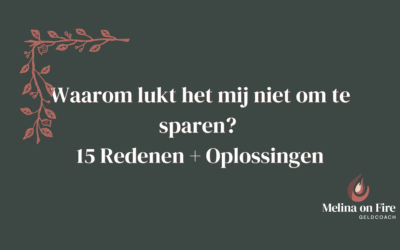 Waarom lukt het mij niet om te sparen? 15 Redenen + Oplossingen