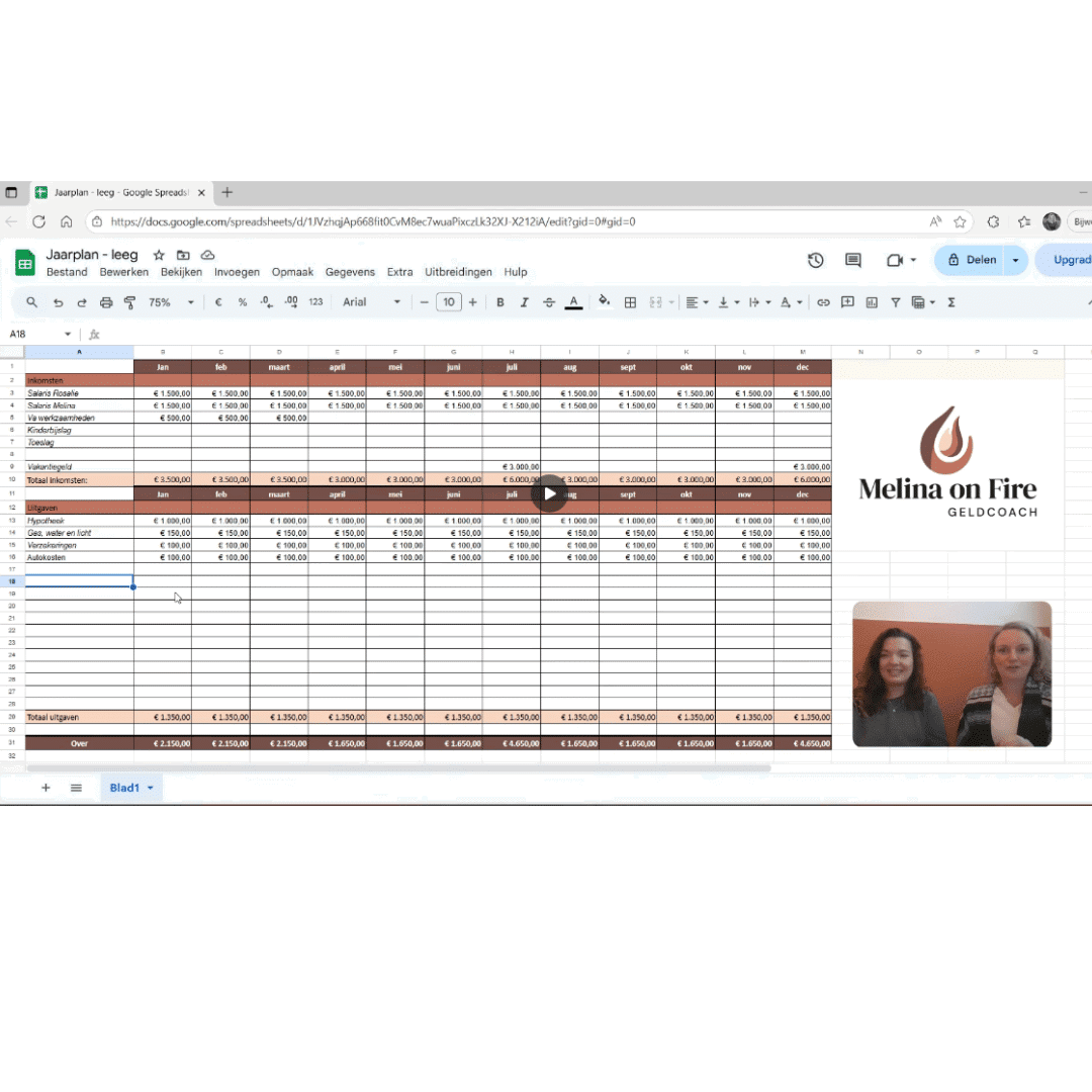 maak een financieel jaarplan