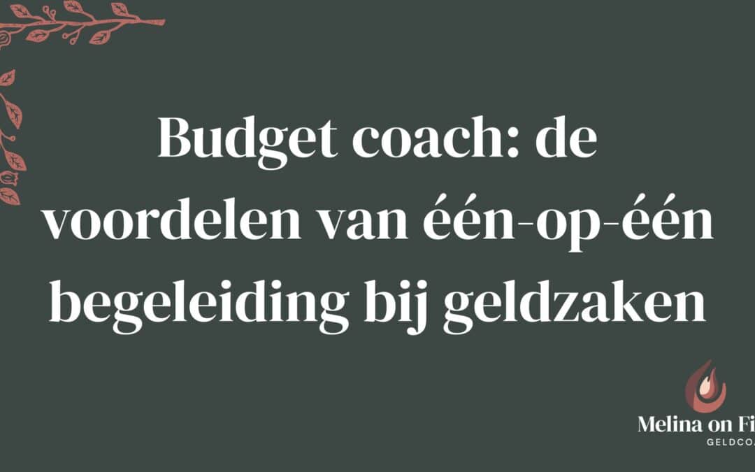 Budget coach biedt één op één begeleiding bij geldzaken.