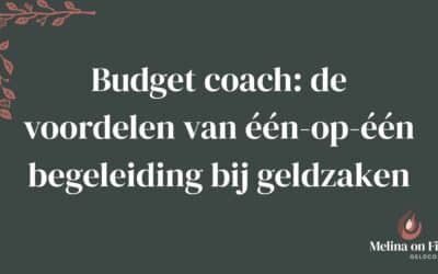 Budget coach: De voordelen van een op een begeleiding bij geldzaken