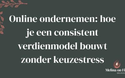 Online ondernemen: Hoe je een consistent verdienmodel bouwt zonder keuzestres