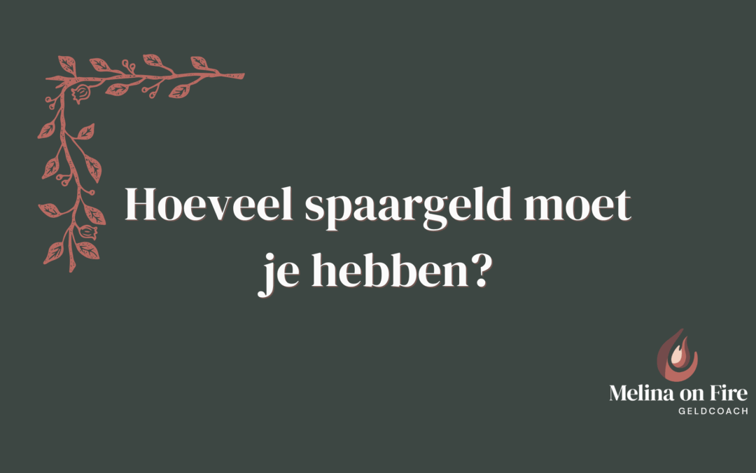 Hoeveel spaargeld moet je hebben?