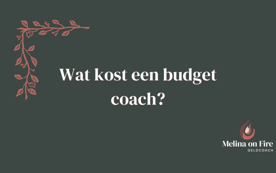 Wat kost een budget coach