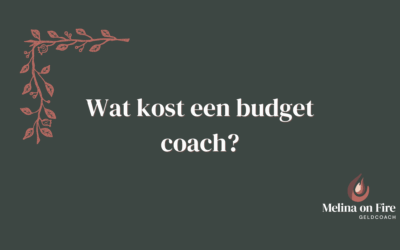 Wat kost een budget coach en is het het waard